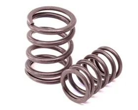 OEM Valve Spring Set 901-105-901-51