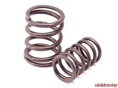 OEM Valve Spring Set 901-105-901-51 - 901-105-901-51
