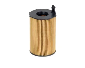 Hengst Automotive Oil Filter Kit E816HD236