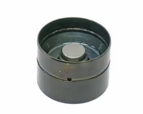 INA Automotive Hydraulic Valve Lifter 038-109-309 C