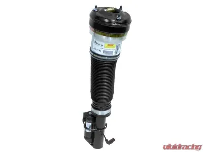 Arnott Industries Strut 220-320-24-38 - 220-320-24-38