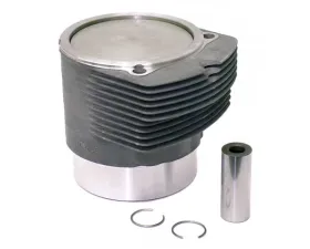 Mahle Piston and Cylinder 930-103-969-03