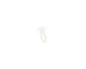 Febi Bilstein Door Seal Clip 000-987-10-15