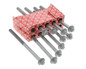 Elring Klinger Cylinder Head Bolt Set 156-016-07-69