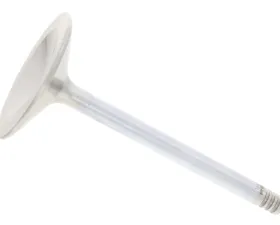 SM Engine Parts Intake Valve 993-105-409-42