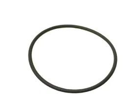 OEM O-Ring 13-71-7-568-031