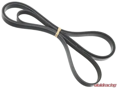 Gates Belt 6K X 2518 003-993-55-96 - 003-993-55-96