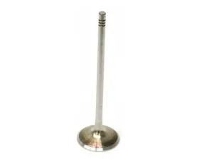 TRW Automotive Intake Valve 11-34-7-553-775