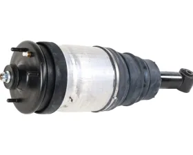 BWI Shock Absorber RPD501090