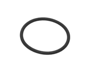 OEM O-Ring 999-701-393-40