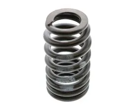Genuine BMW Valve Spring 11-34-7-837-681