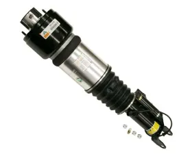 Arnott Industries Shock Absorber 211-320-54-13