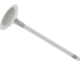 TRW Automotive Intake Valve 11-34-7-533-884