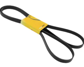 Continental Belt 6K X 2475 059-903-137 R