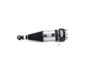 Arnott Industries Shock Absorber AS-3234