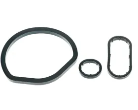 Meistersatz Seal Kit 22 1965 010