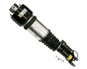 Arnott Industries Shock Absorber 211-320-60-13