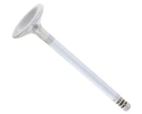 TRW Automotive Intake Valve 1397641