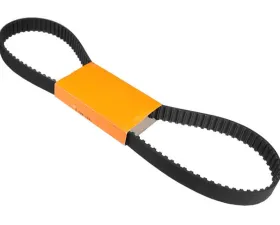Continental Timing Belt 074-109-119 F
