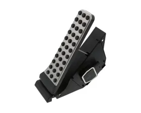 OEM Accelerator Pedal 222-300-11-00
