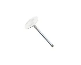 SM Engine Parts Intake Valve 993-105-405-02