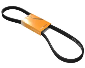 Continental Belt 6DPK X 1195 06A-260-849 C