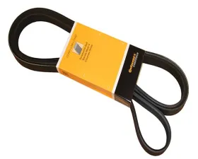 Continental Belt 6K X 2498 059-903-137 T