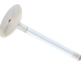 TRW Automotive Intake Valve 116-050-01-26
