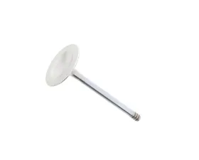 SM Engine Parts Intake Valve 993-105-409-02