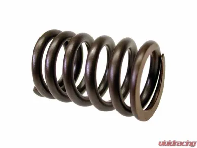 OEM Valve Spring 616-105-432-03 - 616-105-432-03