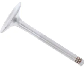 TRW Automotive Intake Valve 928-105-409-02