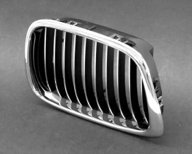 Genuine BMW Grille 51-13-2-497-262