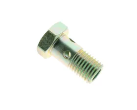 Genuine Porsche Camshaft Oil Line Bolt 999-134-018-02