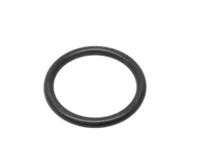 Victor Reinz O-Ring 999-701-210-4A
