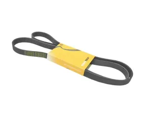 Continental Belt 6K X 1873 078-903-137 BD