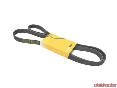 Continental Belt 6K X 1873 078-903-137 BD - 078-903-137 BD