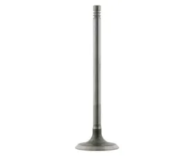 Febi Bilstein Intake Valve 11-34-1-438-385