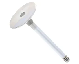 TRW Automotive Intake Valve 11-34-1-254-625