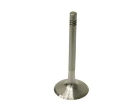 TRW Automotive Intake Valve 911-105-411-20