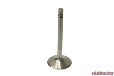 TRW Automotive Intake Valve 911-105-411-20 - 911-105-411-20
