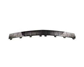 Bapmic Bumper Step Plate 204-885-04-11