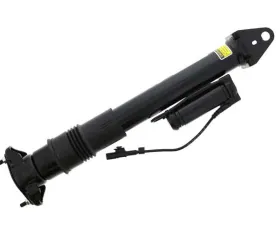 Arnott Industries Shock Absorber 251-320-34-31
