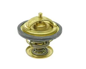 Wahler Thermostat 944-106-019-00