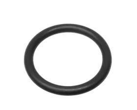 Mahle O-Ring 90-537-379