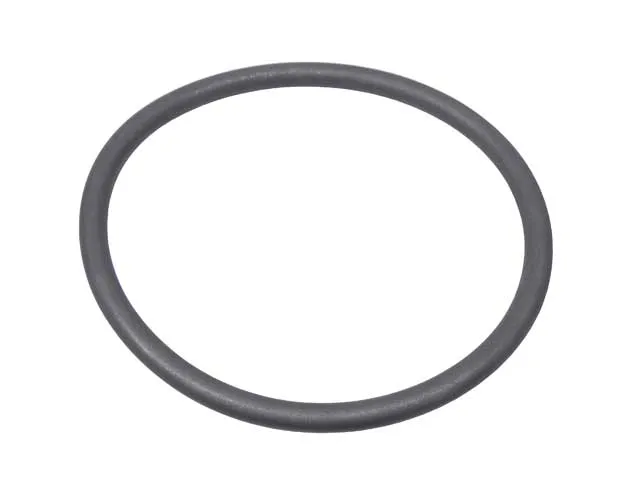 Genuine BMW O-Ring 13-71-1-731-893 - 13-71-1-731-893