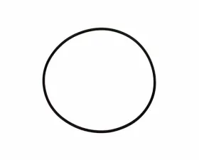 Genuine BMW O-Ring 13-54-1-747-475