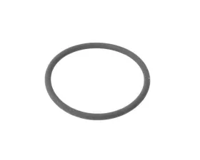 OEM Spark Plug Hole O-Ring 999-701-761-41