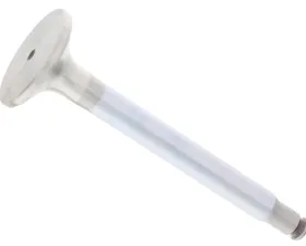 TRW Automotive Exhaust Valve 110-050-00-27
