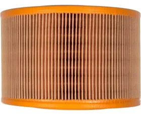 Mahle Air Filter 025-129-620 A