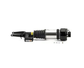 Arnott Industries Shock Absorber 211-320-96-13